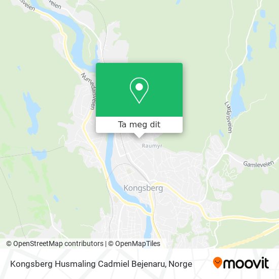 Kongsberg Husmaling Cadmiel Bejenaru kart