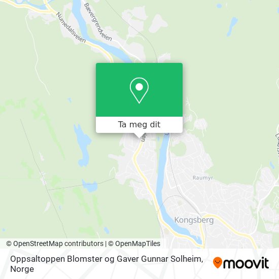 Oppsaltoppen Blomster og Gaver Gunnar Solheim kart