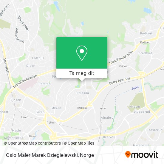 Oslo Maler Marek Dziegielewski kart