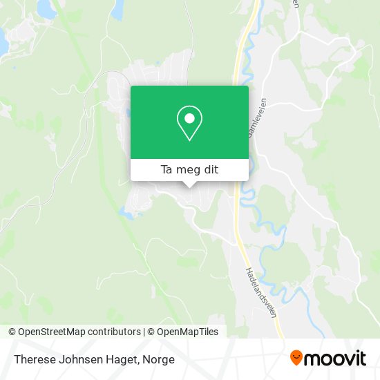 Therese Johnsen Haget kart