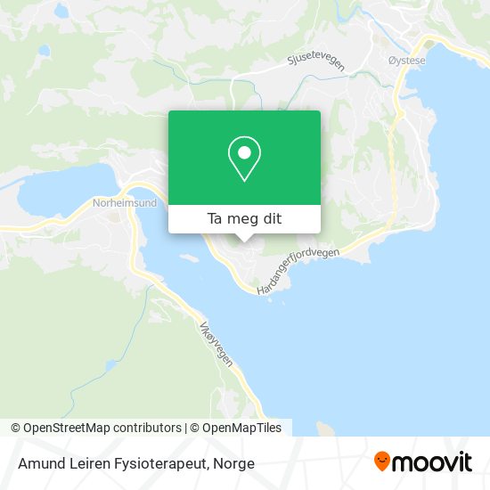 Amund Leiren Fysioterapeut kart