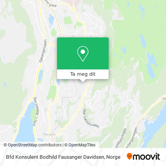 Bfd Konsulent Bodhild Fausanger Davidsen kart