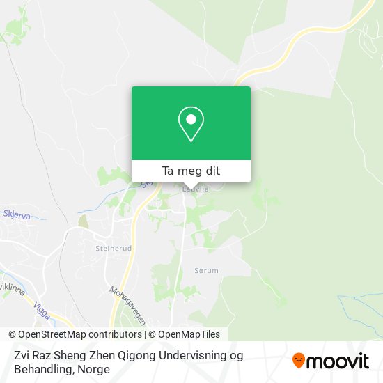 Zvi Raz Sheng Zhen Qigong Undervisning og Behandling kart