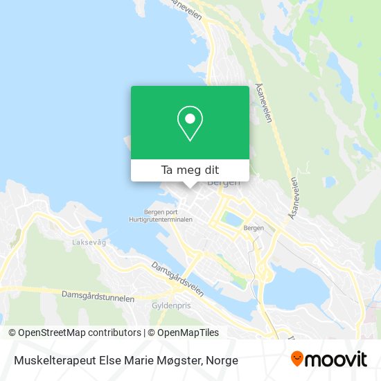 Muskelterapeut Else Marie Møgster kart