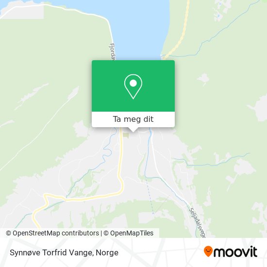 Synnøve Torfrid Vange kart