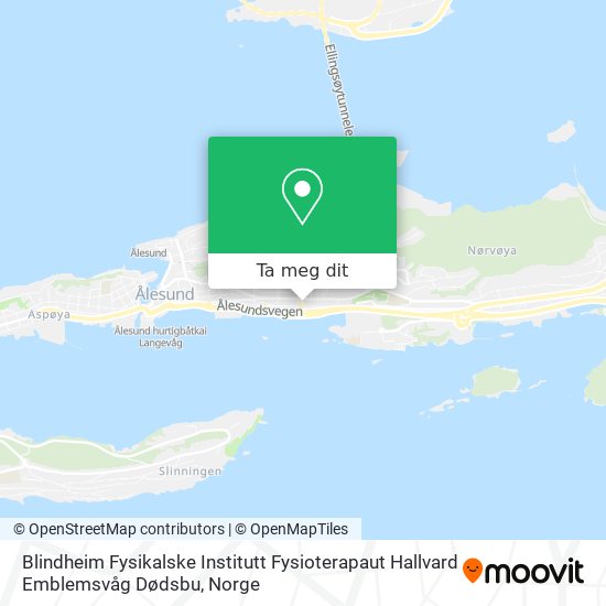Blindheim Fysikalske Institutt Fysioterapaut Hallvard Emblemsvåg Dødsbu kart