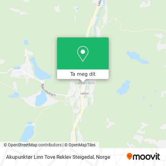Akupunktør Linn Tove Reklev Steigedal kart