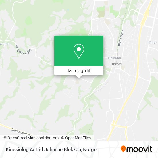 Kinesiolog Astrid Johanne Blekkan kart