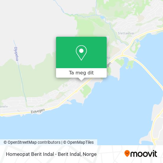 Homeopat Berit Indal - Berit Indal kart