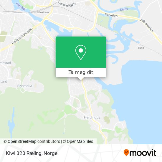 Kiwi 320 Ræling kart
