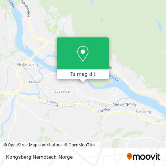 Kongsberg Nemotech kart