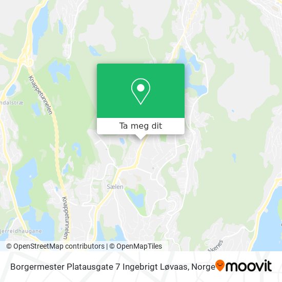 Borgermester Platausgate 7 Ingebrigt Løvaas kart