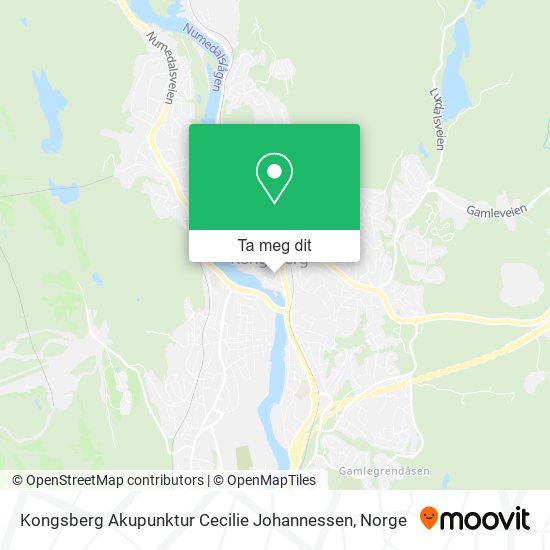Kongsberg Akupunktur Cecilie Johannessen kart