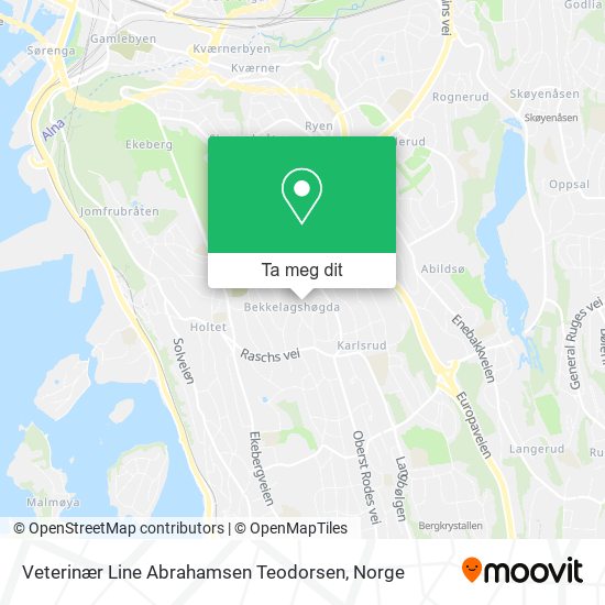 Veterinær Line Abrahamsen Teodorsen kart