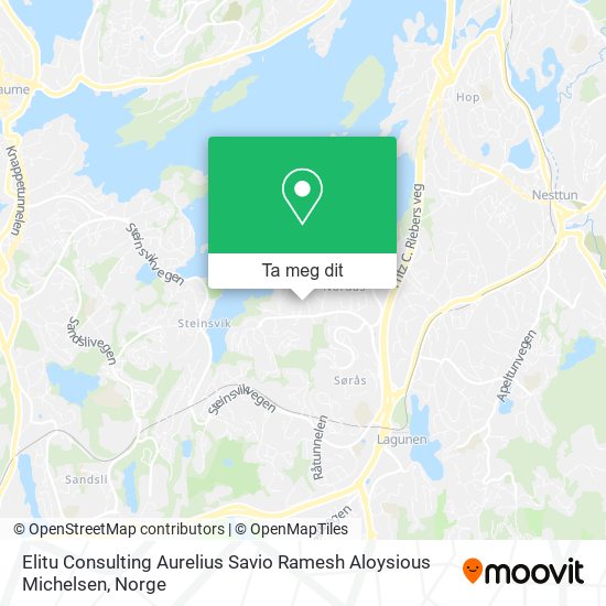 Elitu Consulting Aurelius Savio Ramesh Aloysious Michelsen kart