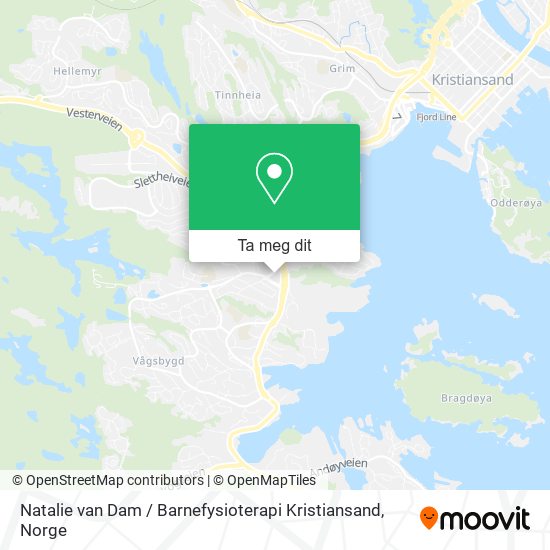 Natalie van Dam / Barnefysioterapi Kristiansand kart