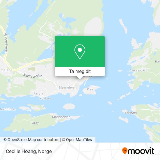 Cecilie Hoang kart