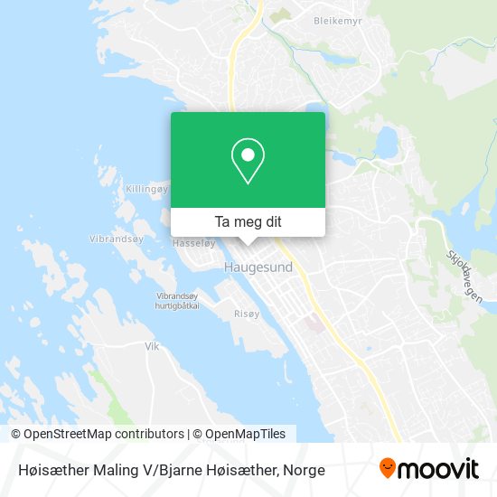 Høisæther Maling V / Bjarne Høisæther kart