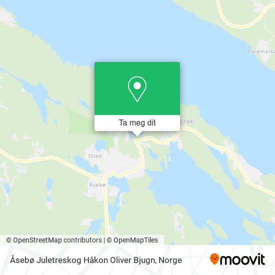 Åsebø Juletreskog Håkon Oliver Bjugn kart
