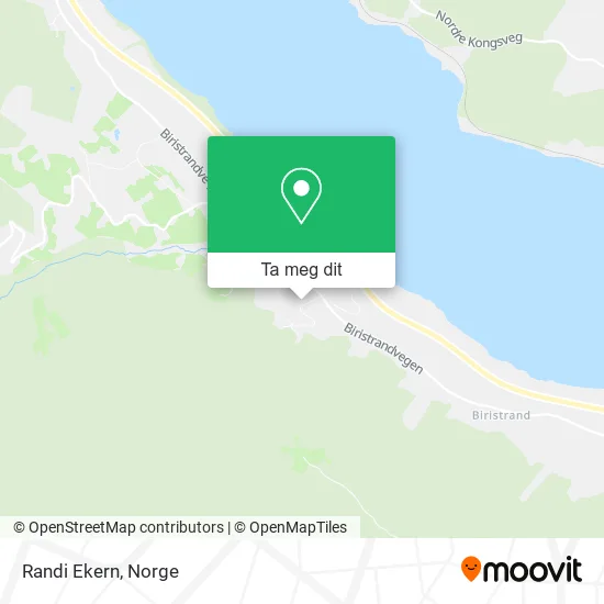 Randi Ekern kart