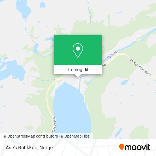 Åse's Butikkdri kart