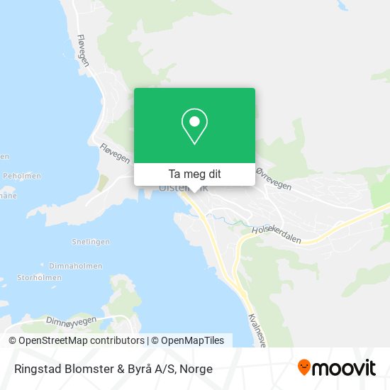 Ringstad Blomster & Byrå A/S kart