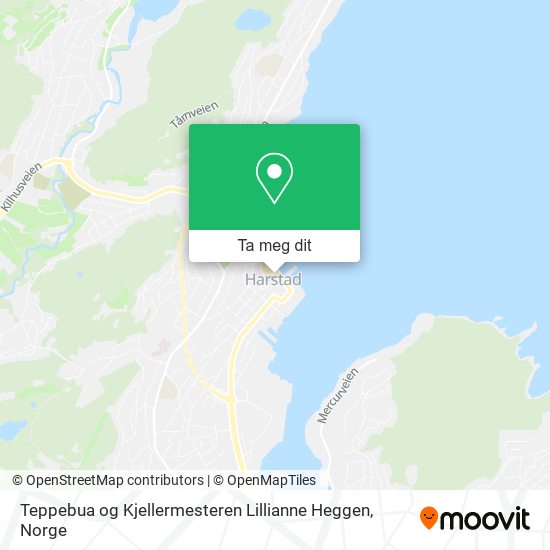 Teppebua og Kjellermesteren Lillianne Heggen kart
