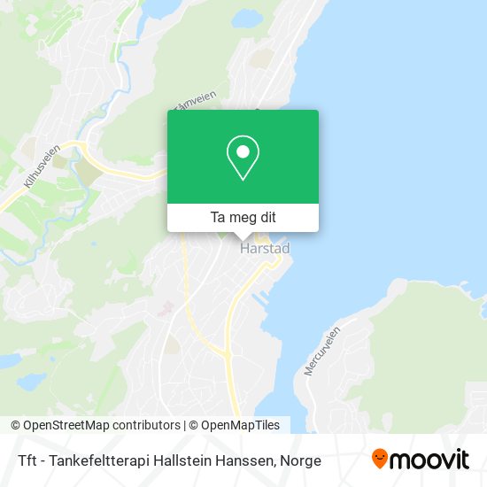 Tft - Tankefeltterapi Hallstein Hanssen kart