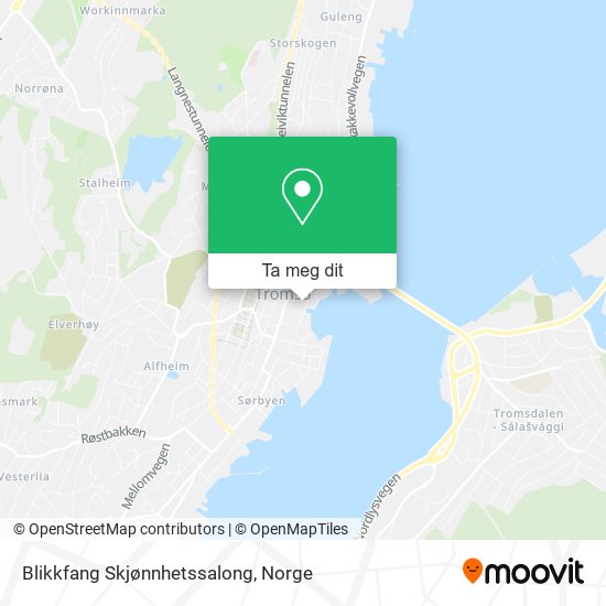 Blikkfang Skjønnhetssalong kart