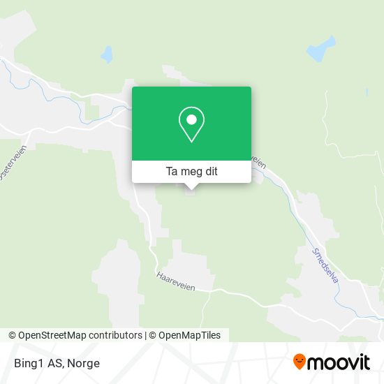 Bing1 AS kart