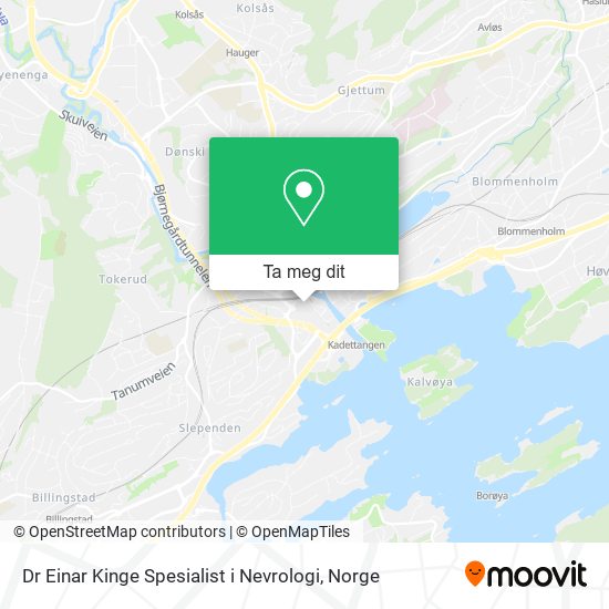 Dr Einar Kinge Spesialist i Nevrologi kart