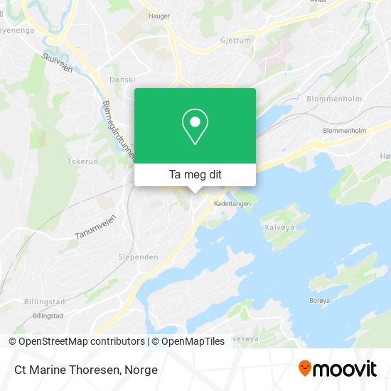 Ct Marine Thoresen kart