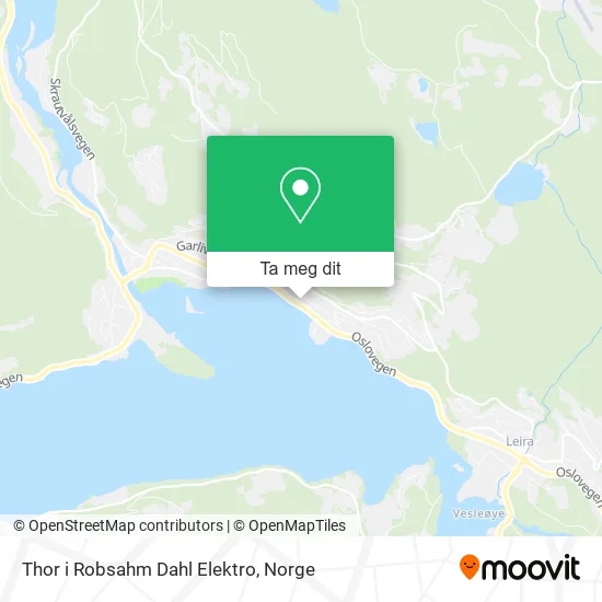 Thor i Robsahm Dahl Elektro kart