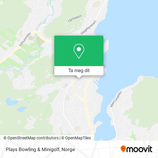Plays Bowling & Minigolf kart