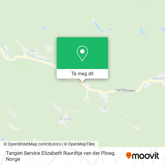 Tangen Service Elizabeth Ruurdtje van der Ploeg kart