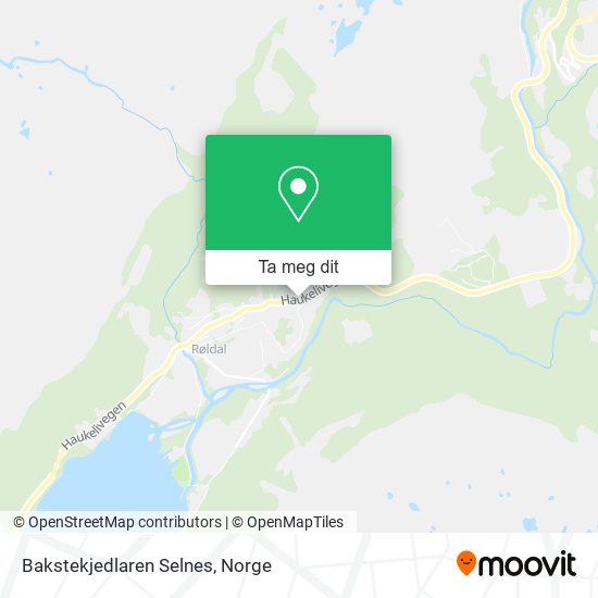 Bakstekjedlaren Selnes kart