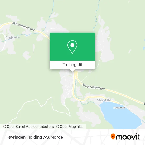 Høvringen Holding AS kart