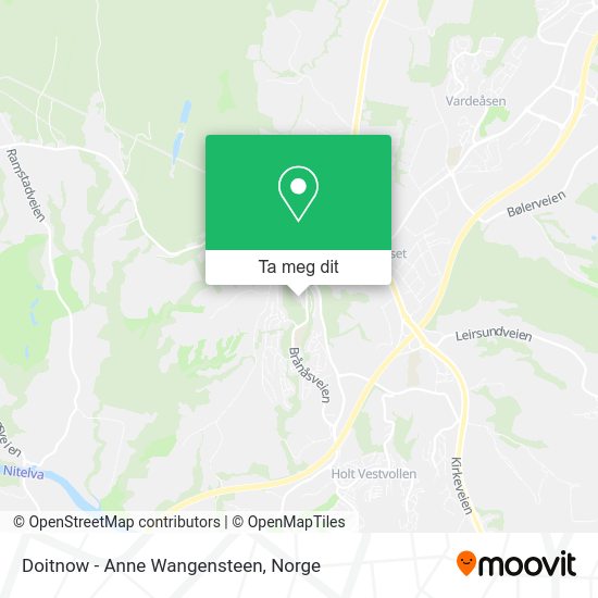 Doitnow - Anne Wangensteen kart