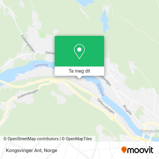 Kongsvinger Ant kart