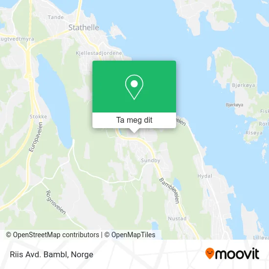 Riis Avd. Bambl kart