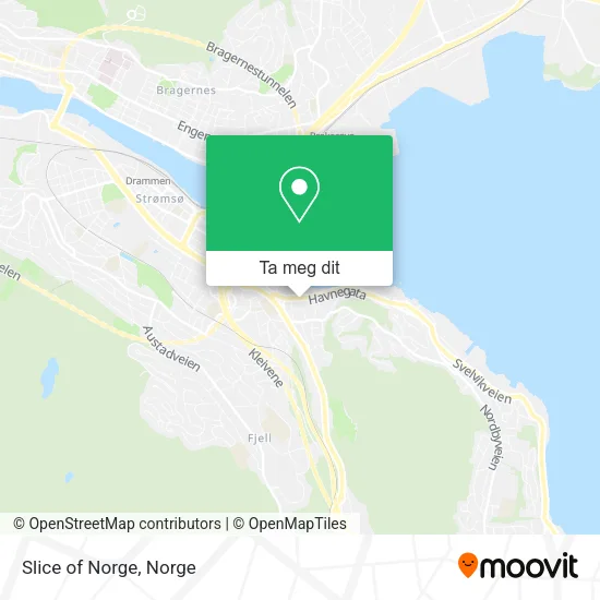 Slice of Norge kart