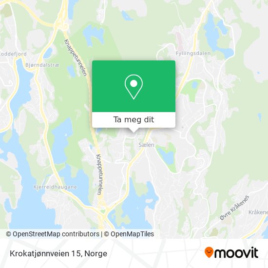 Krokatjønnveien 15 kart