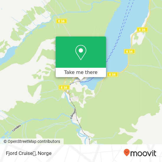 Fjord Cruise🚢 kart