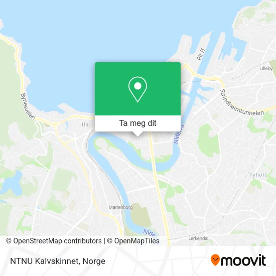 NTNU Kalvskinnet kart