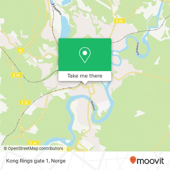 Kong Rings gate 1 kart
