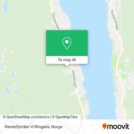 Randsfjorden V/Ringelia kart