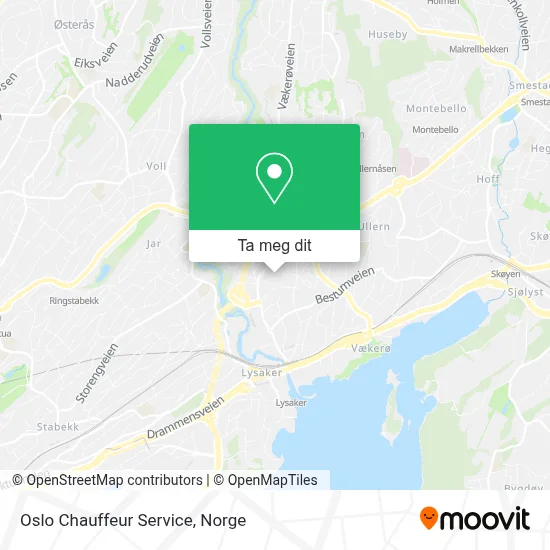 Oslo Chauffeur Service kart