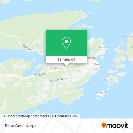 Risør Geo. kart
