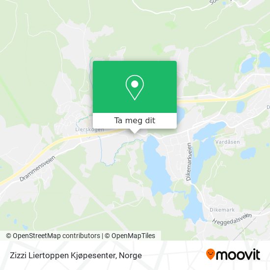 Zizzi Liertoppen Kjøpesenter kart