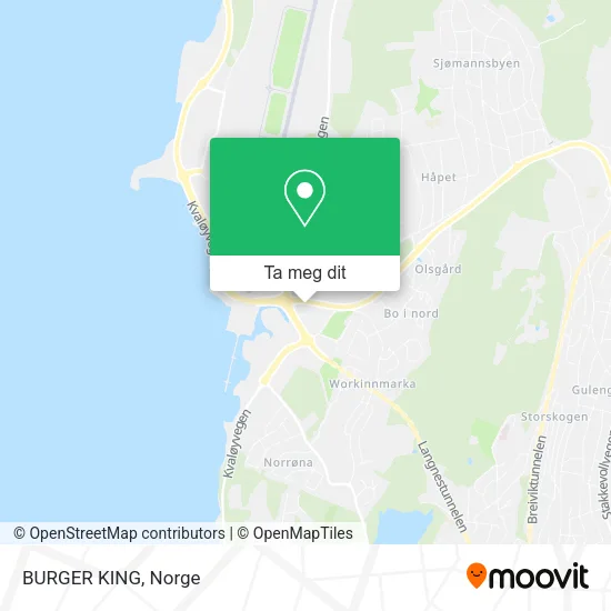 BURGER KING kart